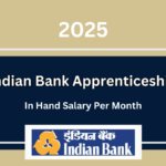 Indian Bank Apprenticeship: Salary, Benefits, and More