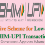 Incentive Scheme for Low-Value BHIM-UPI Transactions: A Boost for Small Merchants