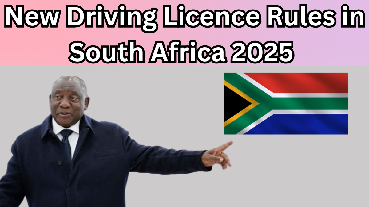 New Driving Licence Rules in South Africa 2025 – What Changed
