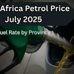South Africa Petrol Price July 2025 – Latest Fuel Rate by Province