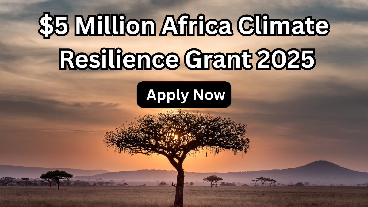 $5 Million Africa Climate Resilience Grant 2025: Apply Now