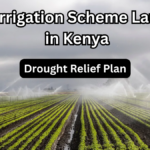 Smart Irrigation Scheme Launched in Kenya: July 2025 Drought Relief Plan