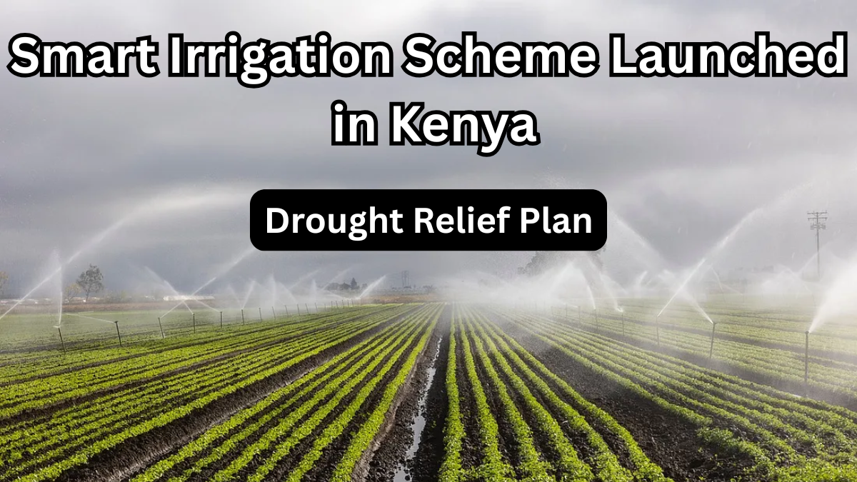 Smart Irrigation Scheme Launched in Kenya: July 2025 Drought Relief Plan