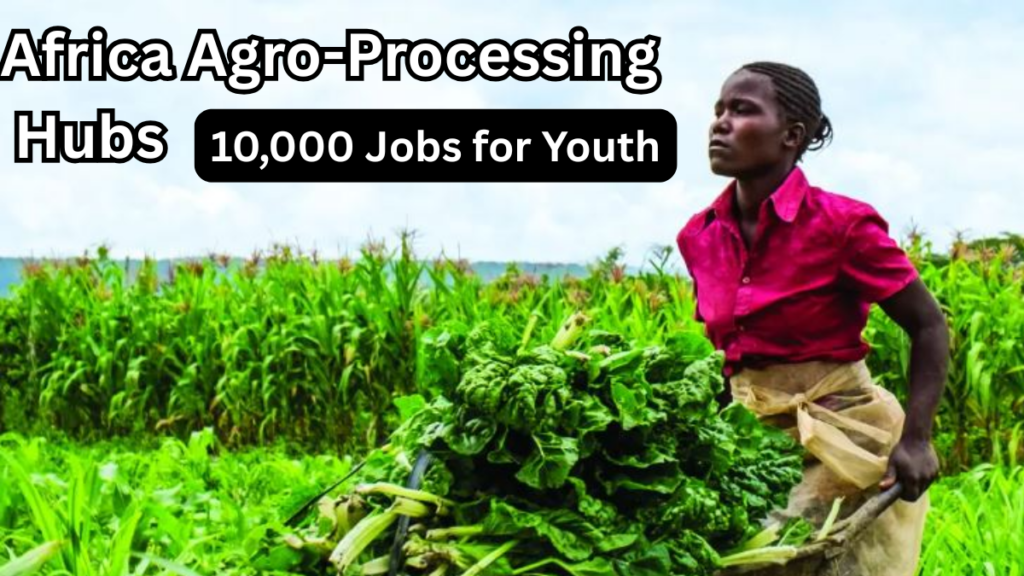 Africa Agro-Processing Hubs 2025 to Create 10,000 Jobs for Youth