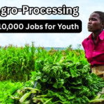 Africa Agro-Processing Hubs 2025 to Create 10,000 Jobs for Youth