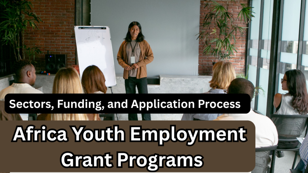 Africa Youth Employment Grant Programs 2025: Sectors, Funding, and Application Process