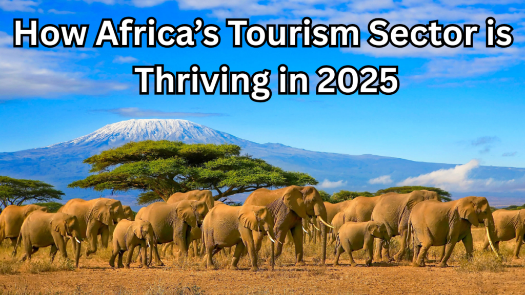 How Africa’s Tourism Sector is Thriving in 2025