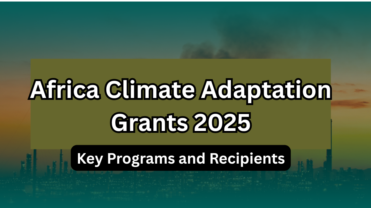 Africa Climate Adaptation Grants 2025 – Key Programs and Recipients