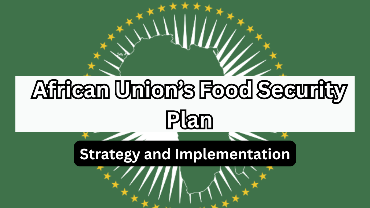 African Union’s Food Security Plan 2025 – Strategy and Implementation