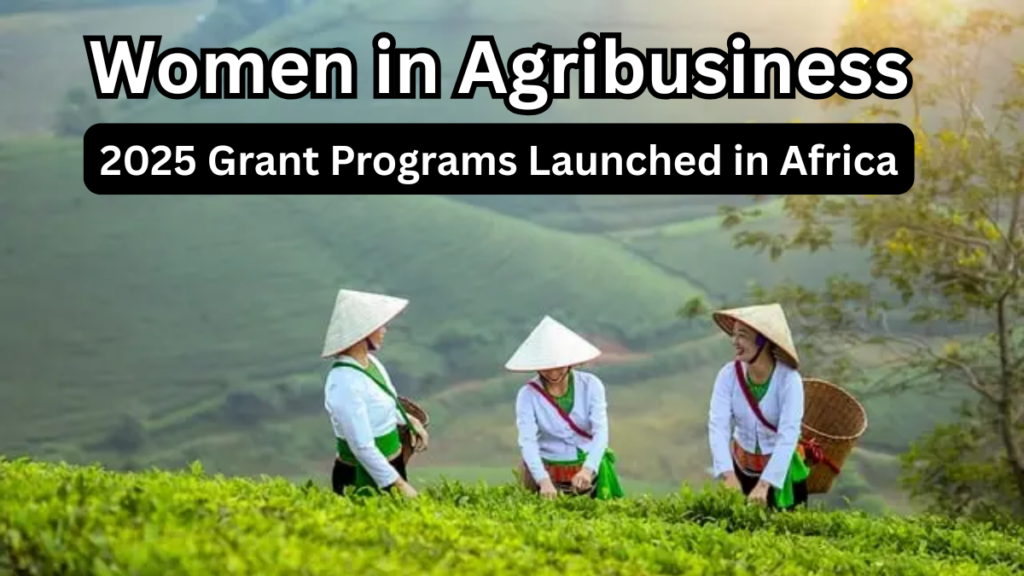 Women in Agribusiness – 2025 Grant Programs Launched in Africa