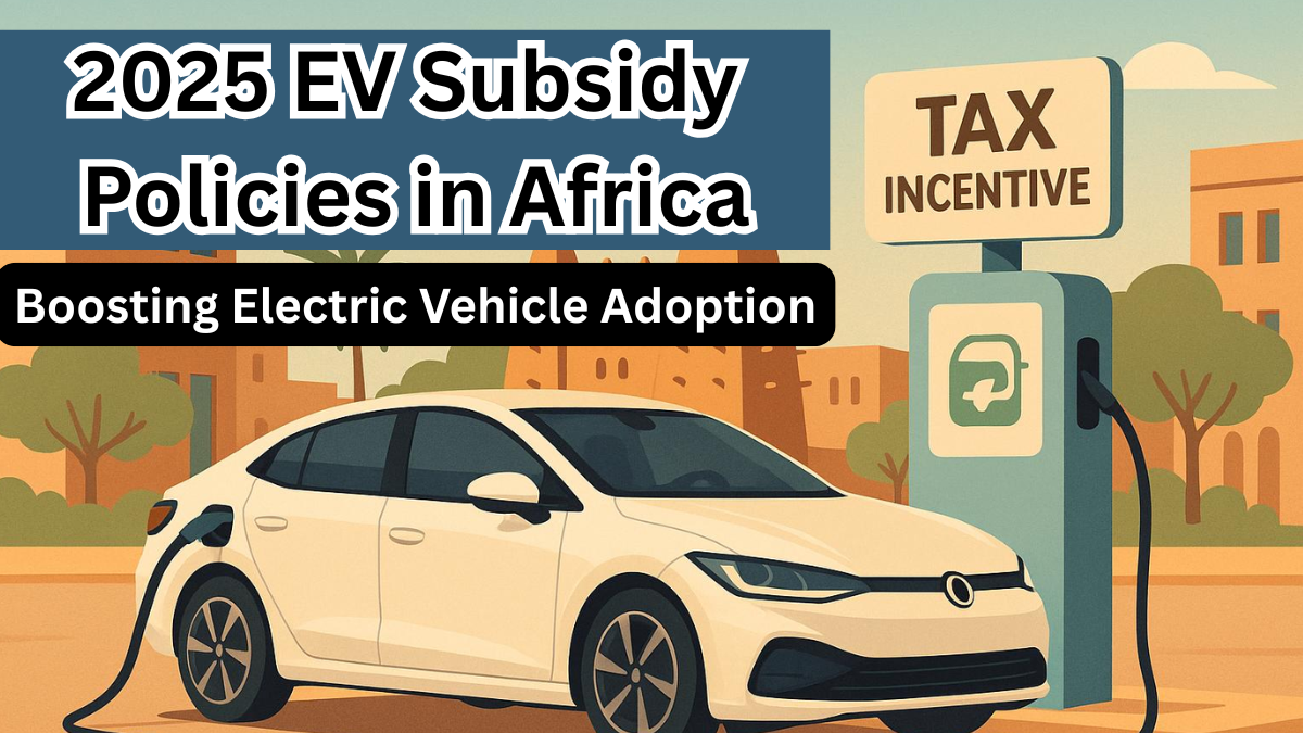 2025 EV Subsidy Policies in Africa – Boosting Electric Vehicle Adoption