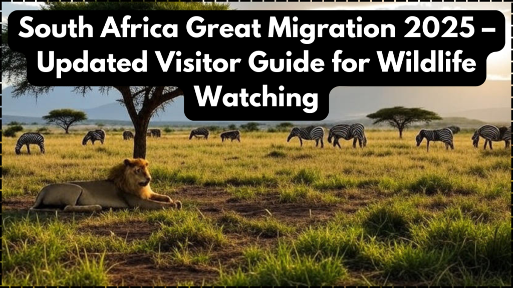 South Africa Great Migration 2025 – Updated Visitor Guide for Wildlife Watching