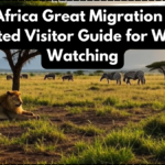 South Africa Great Migration 2025 – Updated Visitor Guide for Wildlife Watching