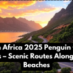 South Africa 2025 Penguin Coast Drives – Scenic Routes Along Cape Beaches